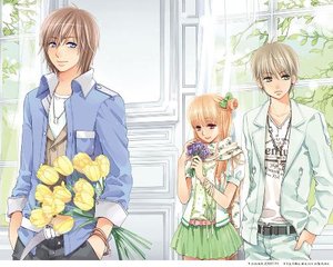 深入了解 蘑菇Tv成版入口电脑版